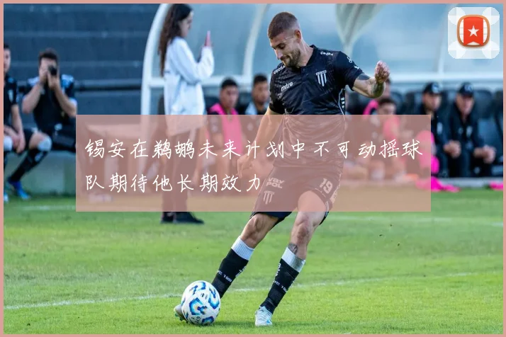 锡安在鹈鹕未来计划中不可动摇球队期待他长期效力